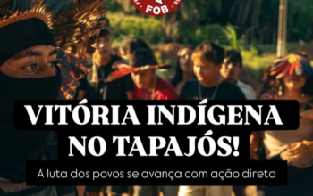 Povosindigenas